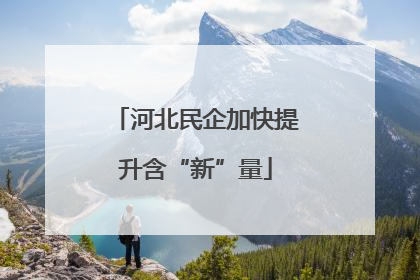 河北民企加快提升含“新”量